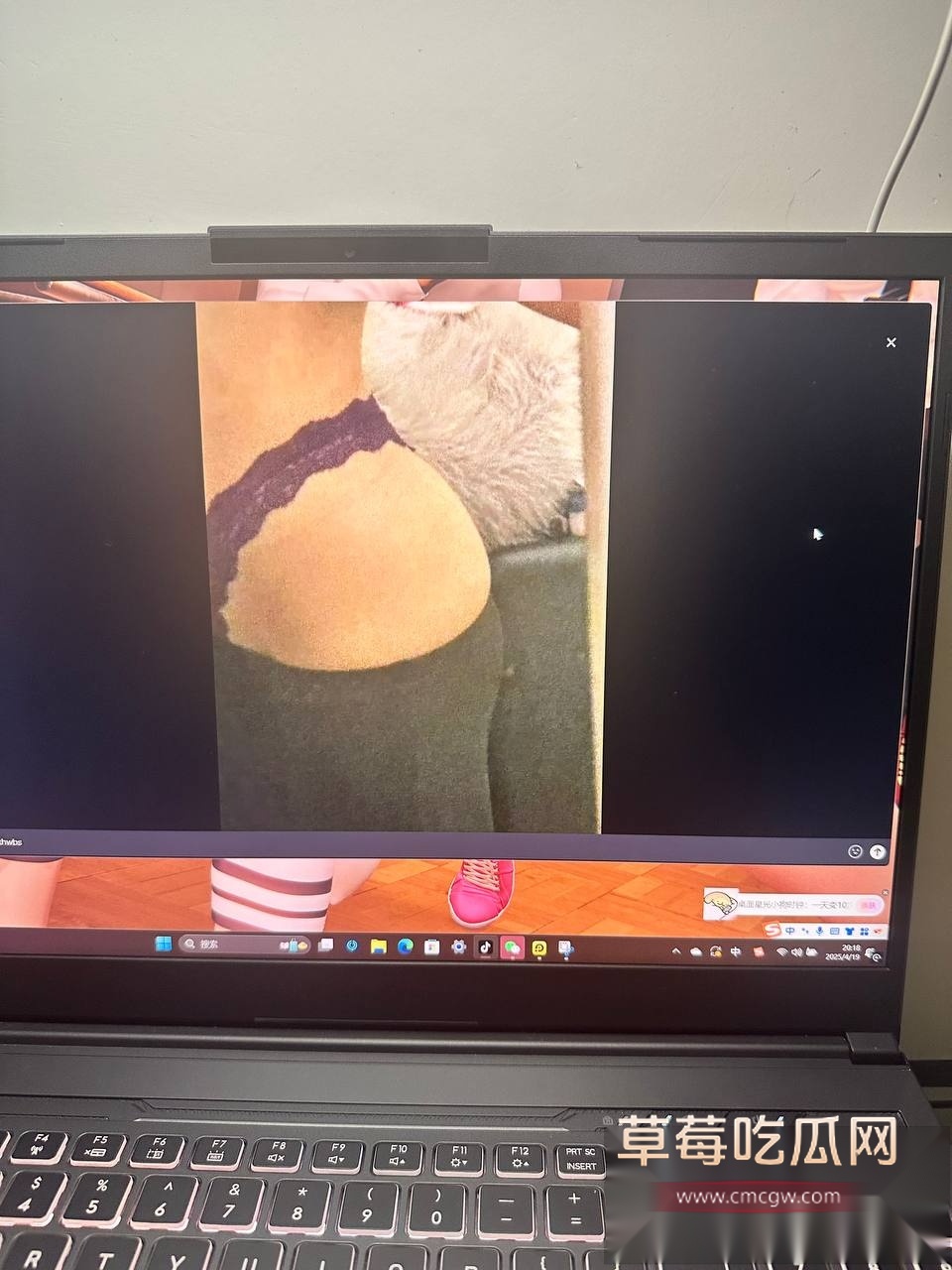 上海海归留学生吕若菡 18 上海海归留学生吕若菡 18