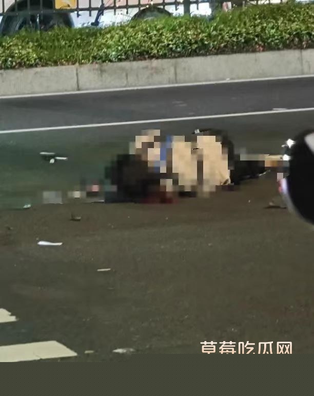 电动车与轿车相撞 8 电动车与轿车相撞 8