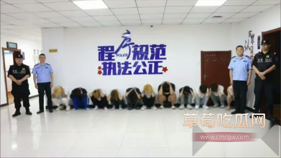 数十人持械精神小伙砸车 9