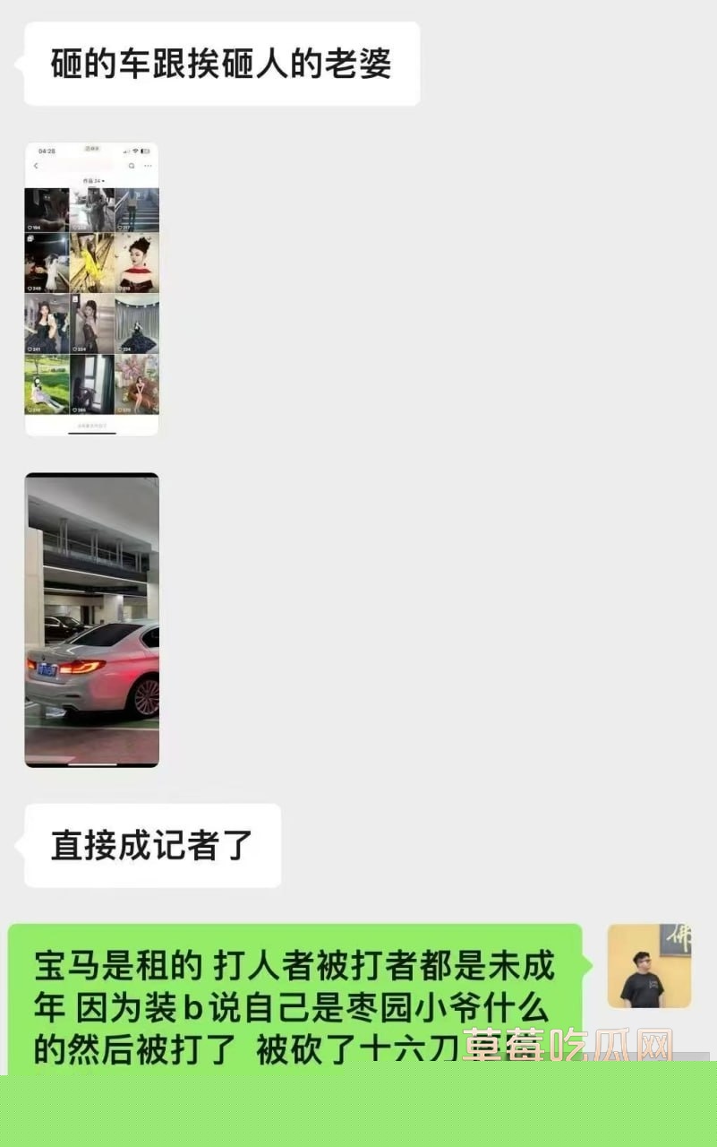 数十人持械精神小伙砸车 10