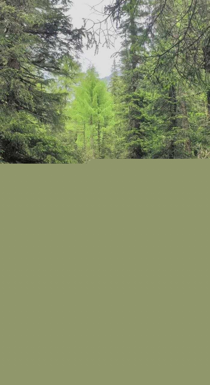 极品高颜值大学生反差少女 6 极品高颜值大学生反差少女 6