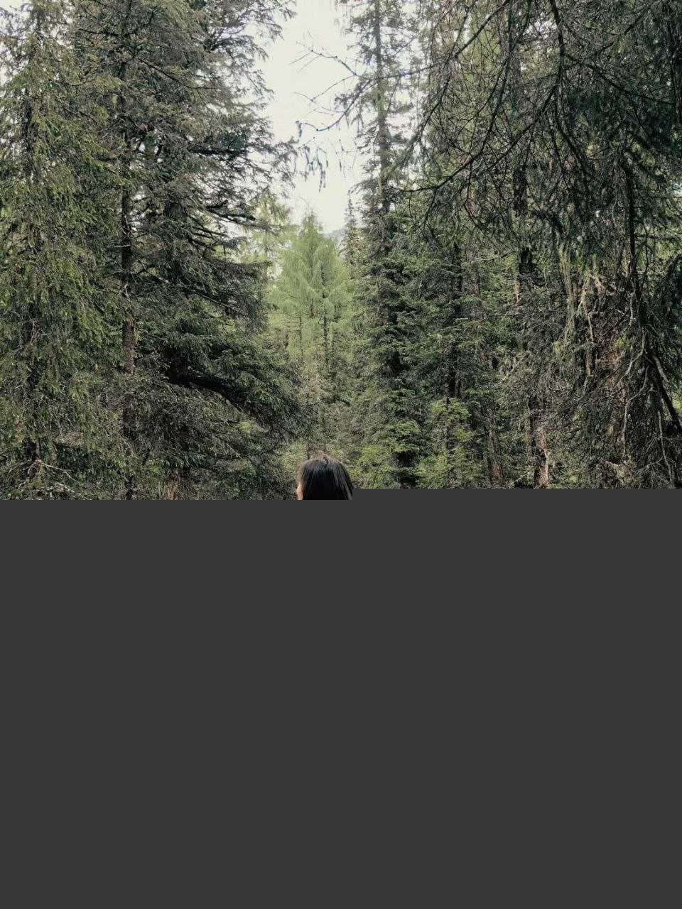 极品高颜值大学生反差少女 12 极品高颜值大学生反差少女 12