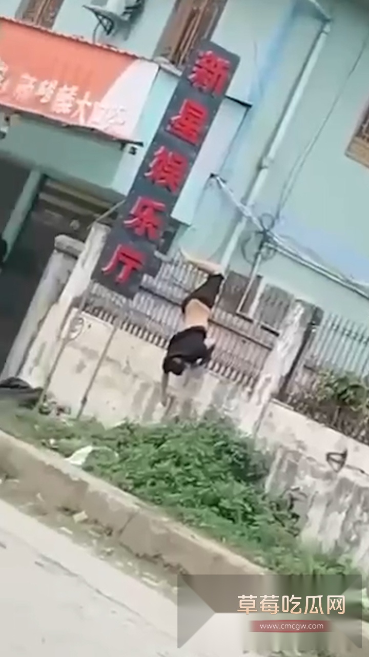 头条竖.00001301.Still039 头条竖.00001301.Still039