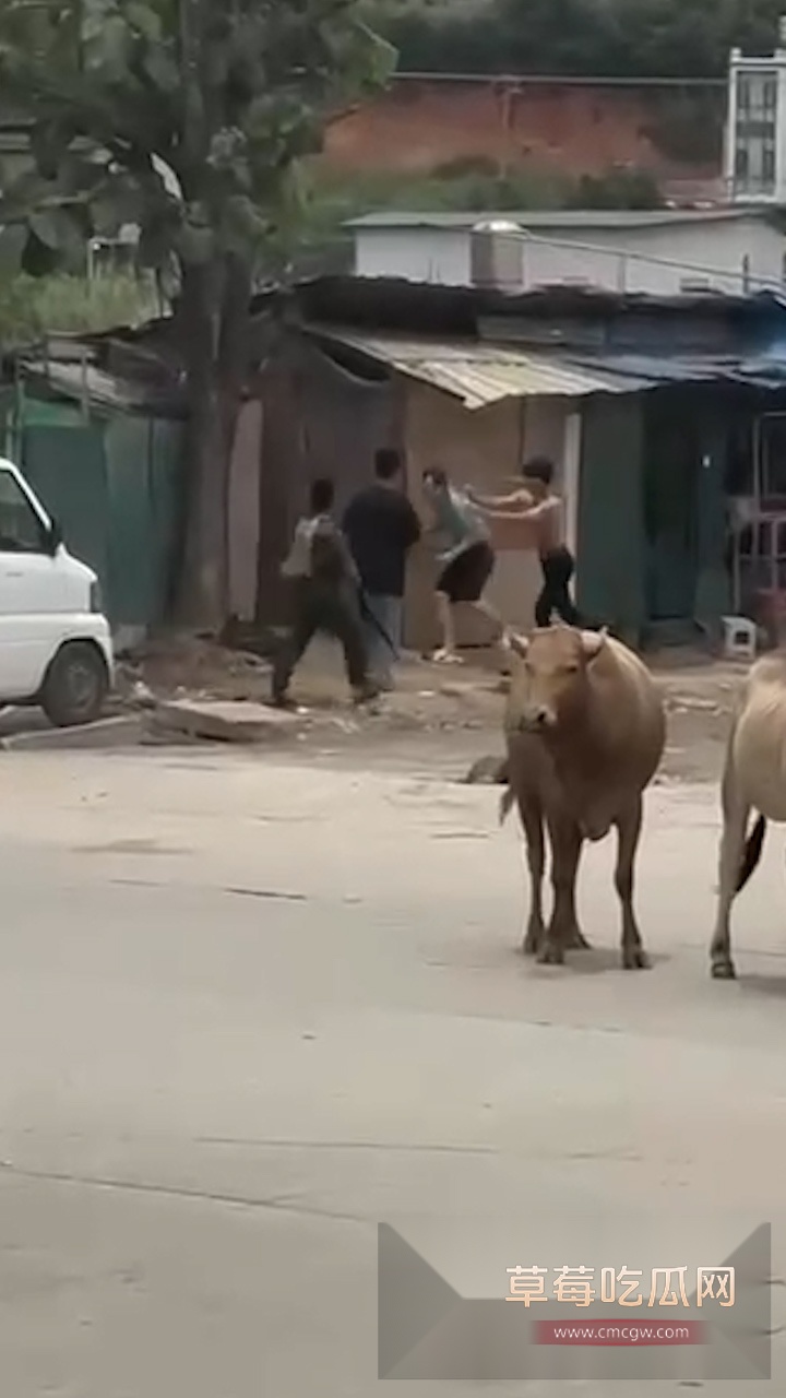 头条竖.00004414.Still040 头条竖.00004414.Still040