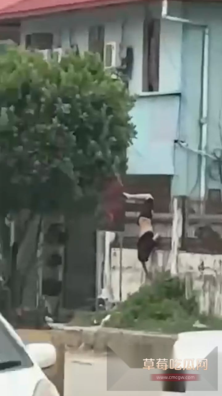 头条竖.00005700.Still041 头条竖.00005700.Still041