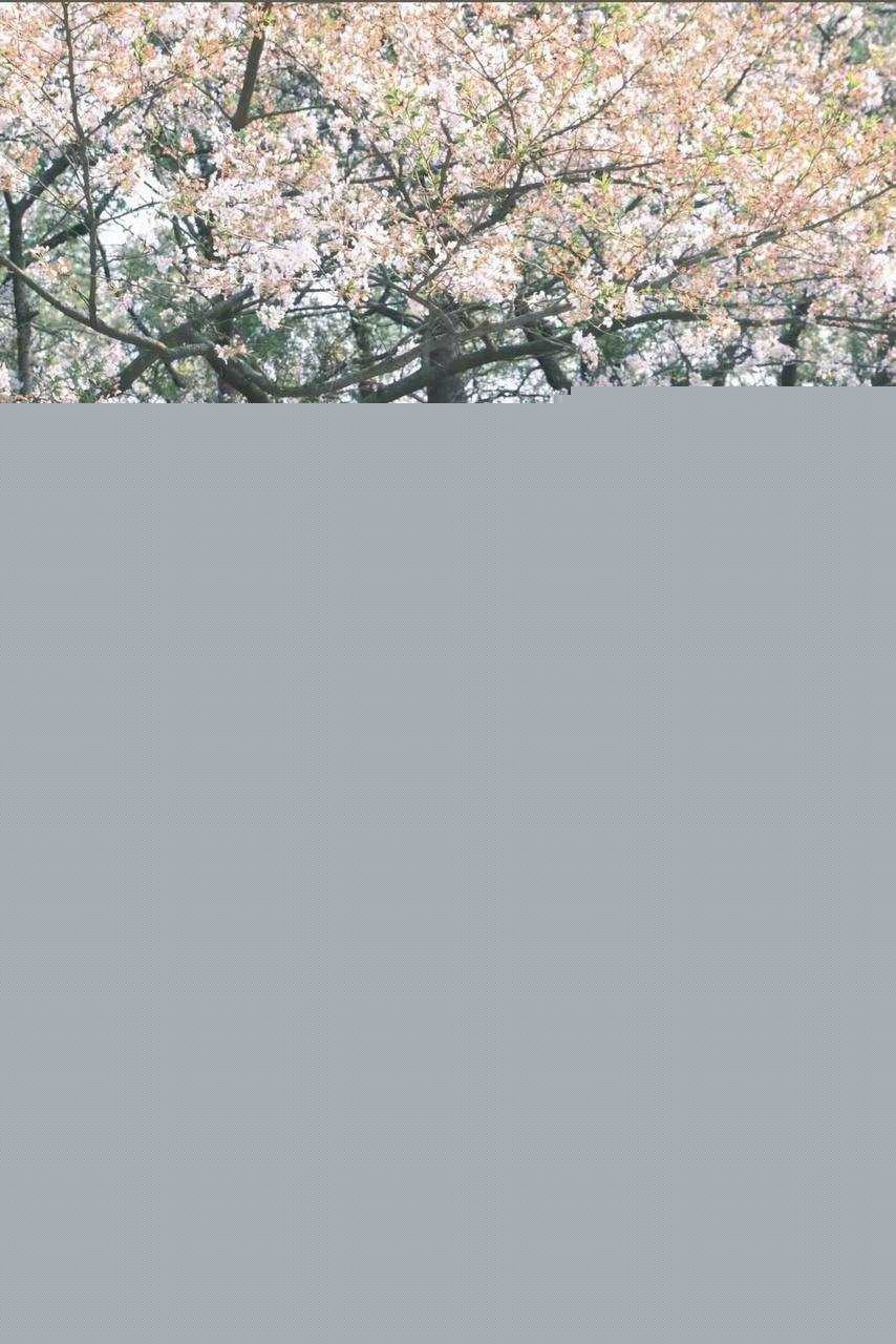 男网红纪东杰出轨约炮25 男网红纪东杰出轨约炮25