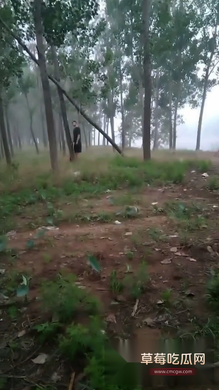 头条竖.00000424.Still027 头条竖.00000424.Still027