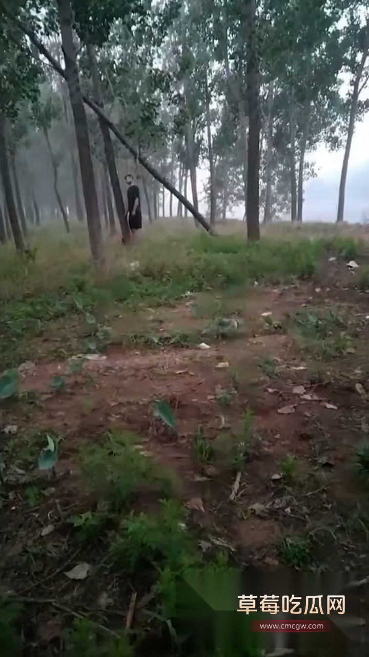 头条竖.00000709.Still028 头条竖.00000709.Still028