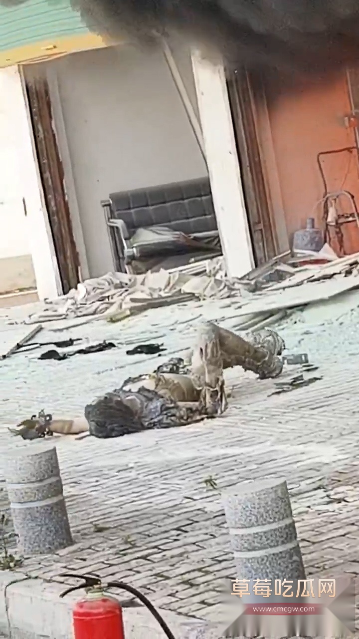 头条竖.00000801.Still022