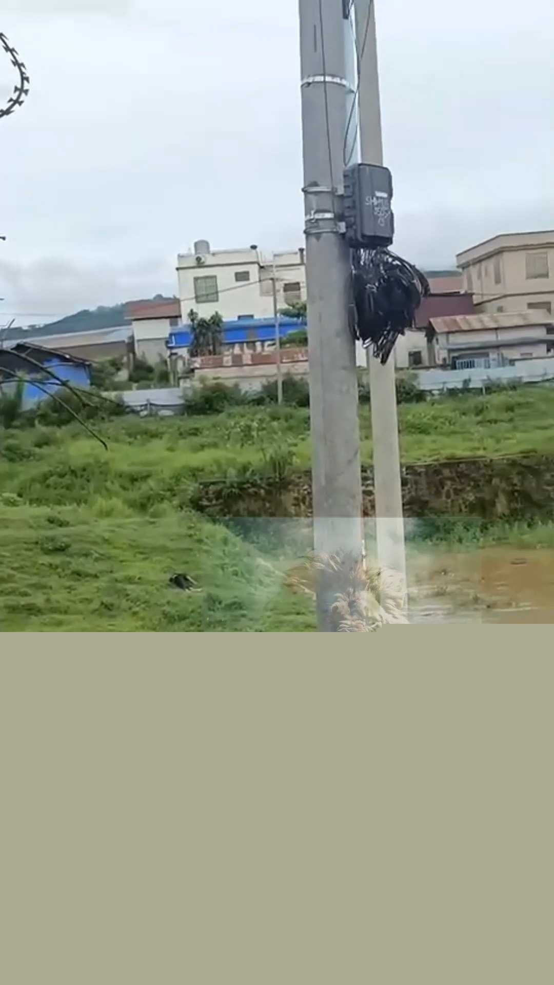 偷东西被枪射杀 3