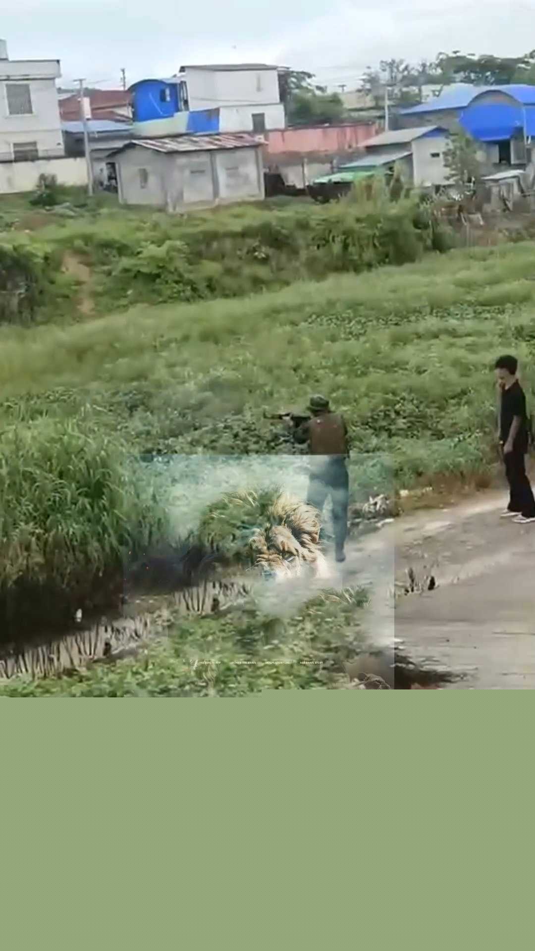 偷东西被枪射杀 1