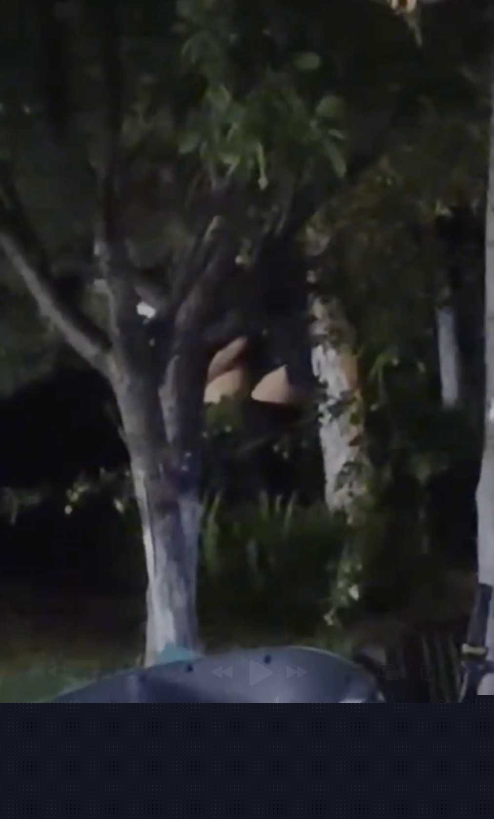 东营夜市鸿港小树林1.jpg 东营夜市鸿港小树林1.jpg