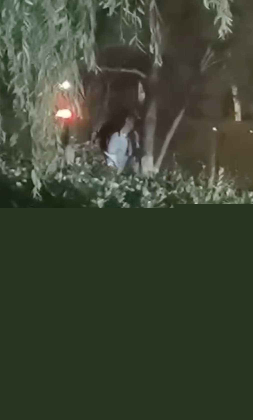 东营夜市鸿港小树林2.jpg 东营夜市鸿港小树林2.jpg