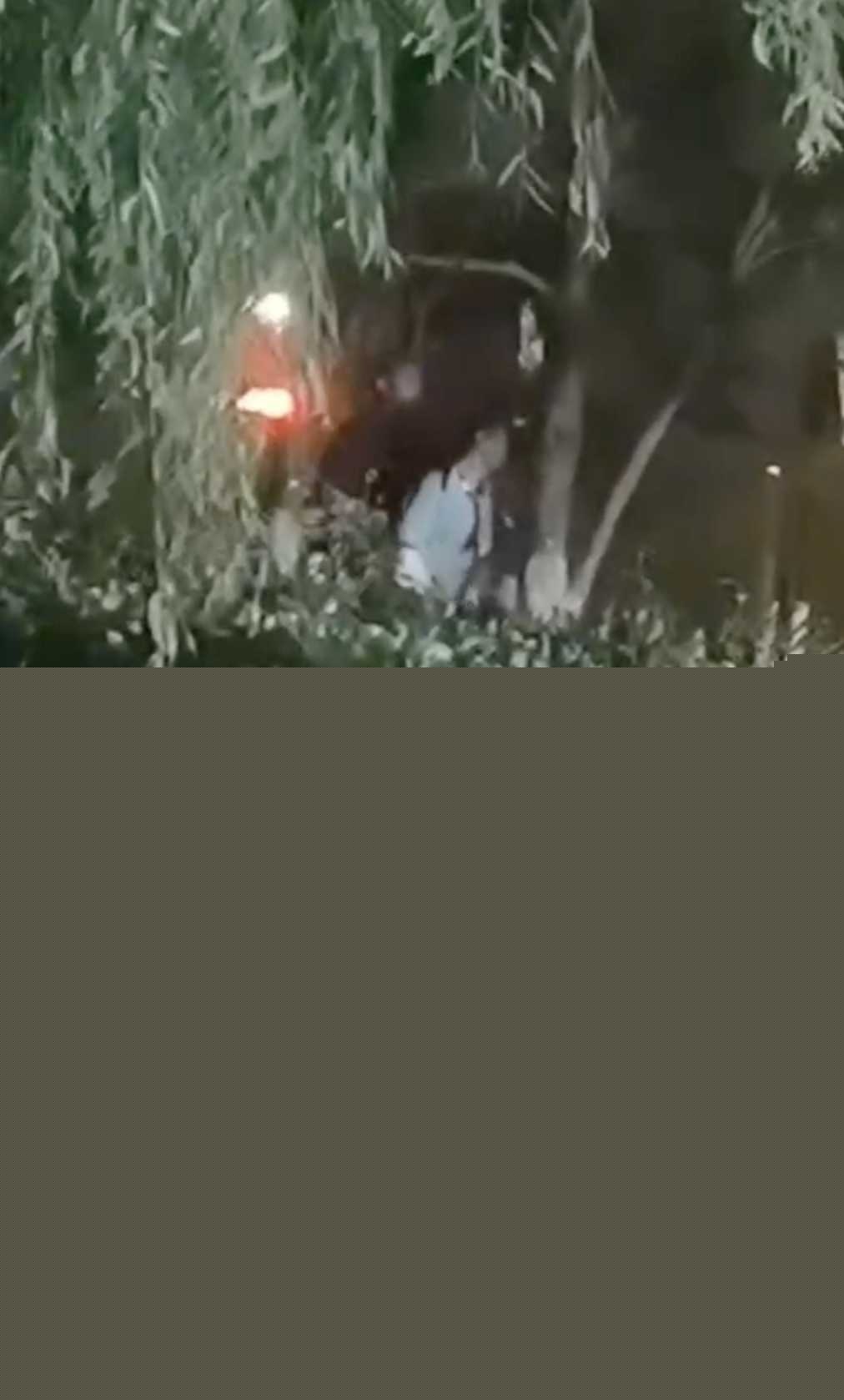 东营夜市鸿港小树林3.jpg 东营夜市鸿港小树林3.jpg