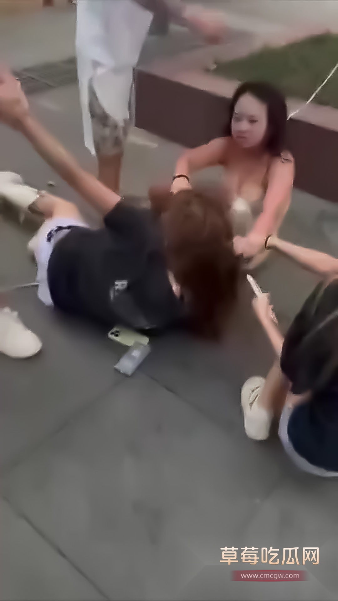 街头女子争吵撕扯打架 1 街头女子争吵撕扯打架 1