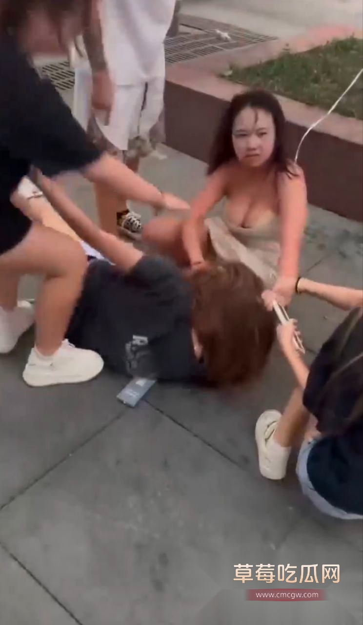 街头女子争吵撕扯打架 5 街头女子争吵撕扯打架 5