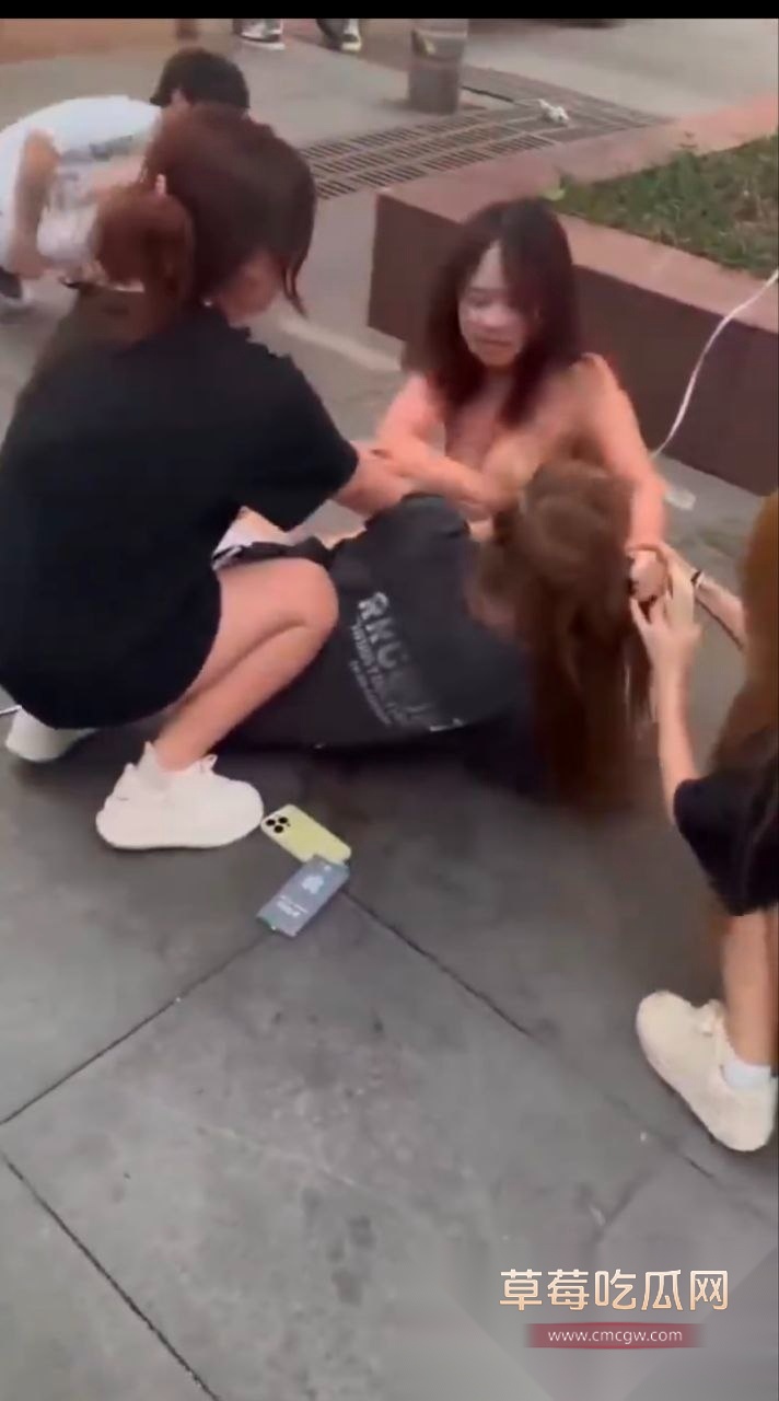 街头女子争吵撕扯打架 6 街头女子争吵撕扯打架 6