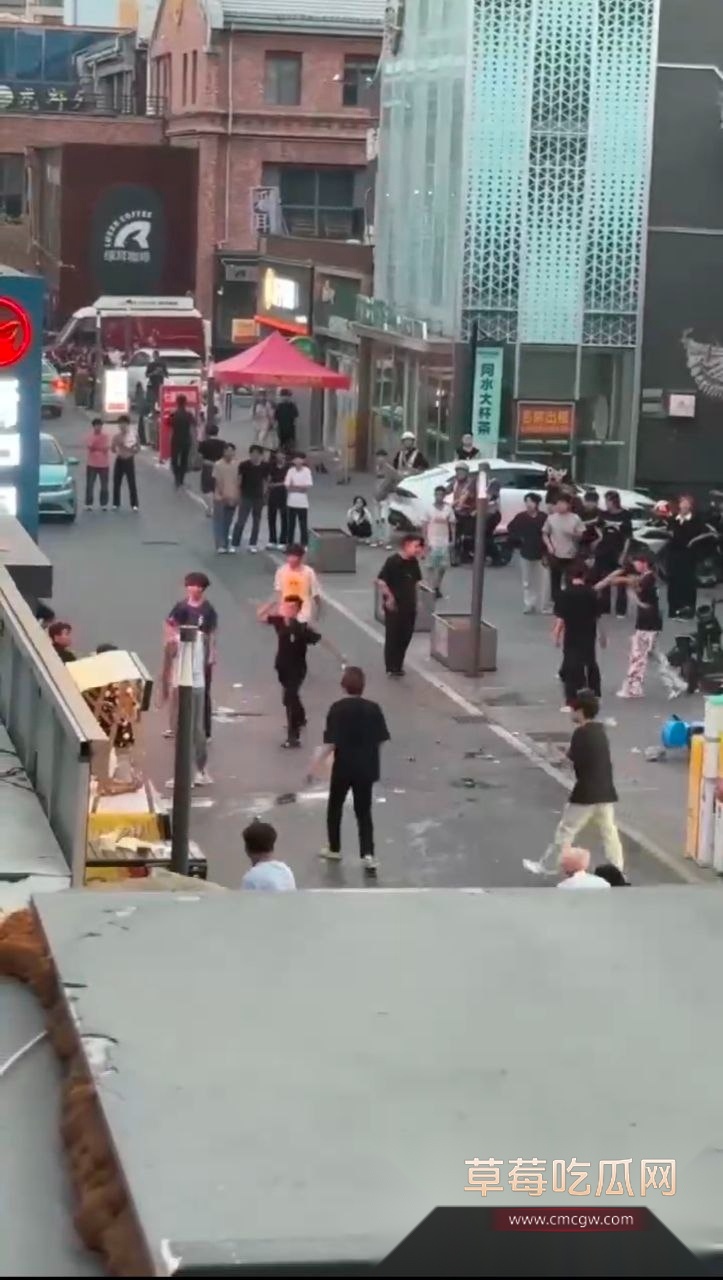 年轻人争强好胜 街头打架群殴 2 年轻人争强好胜 街头打架群殴 2