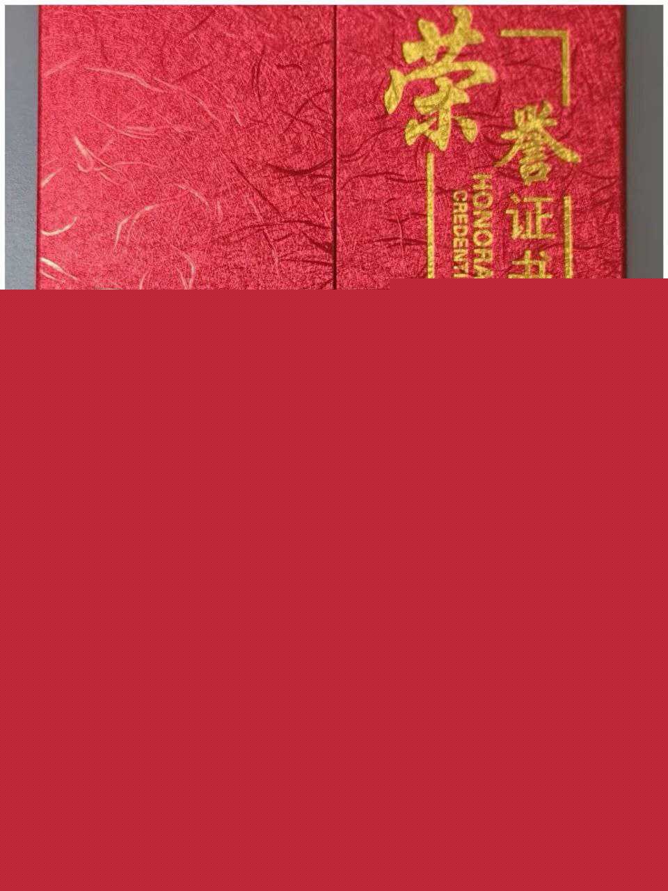 遵义市绿奴公务员3 遵义市绿奴公务员3