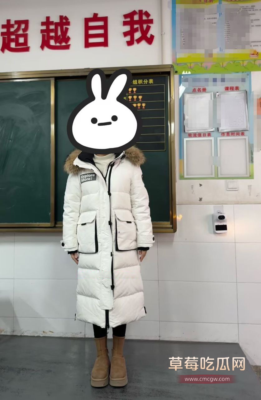 遵义市绿奴公务员4 遵义市绿奴公务员4