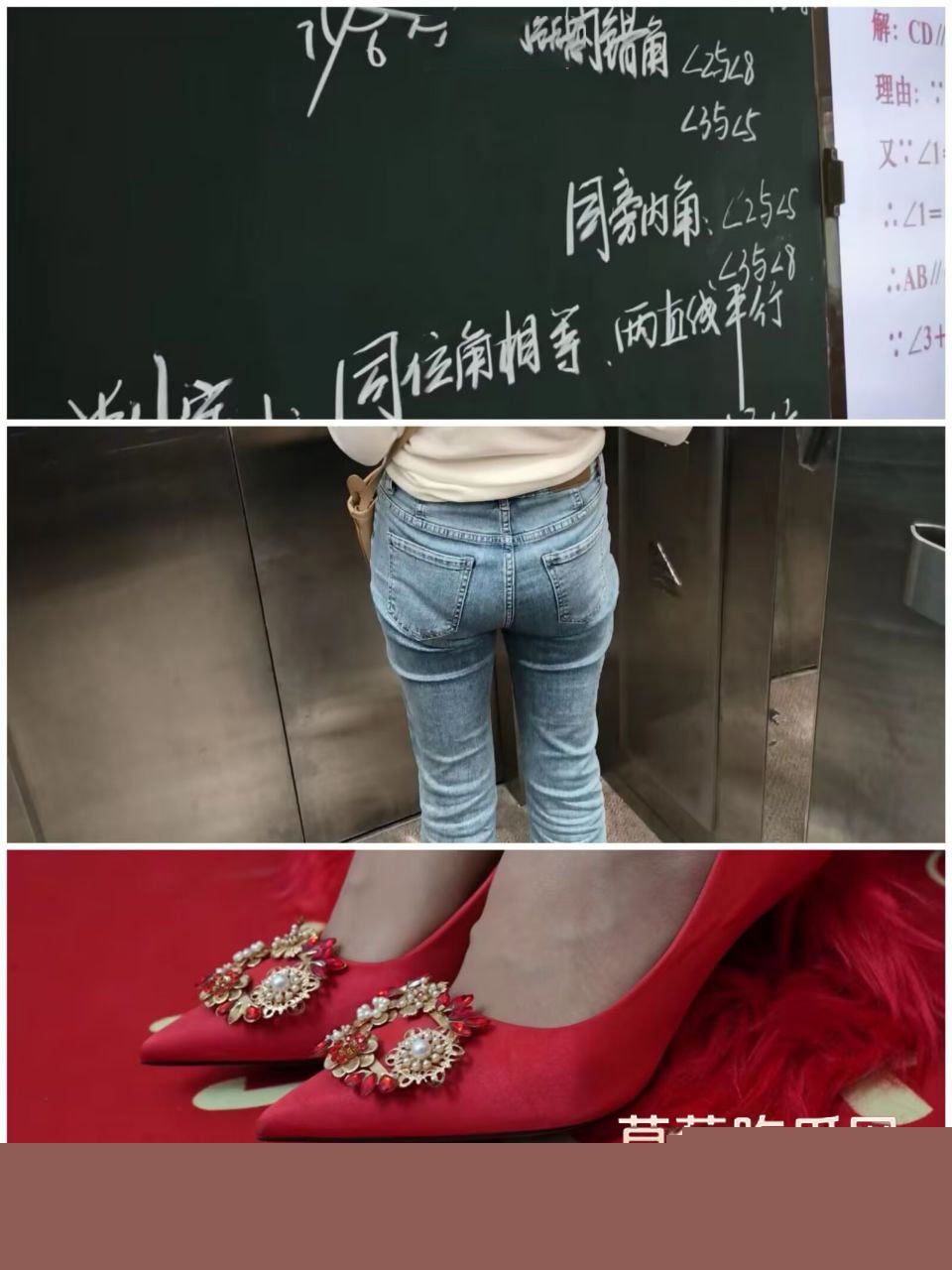 遵义市绿奴公务员6 遵义市绿奴公务员6