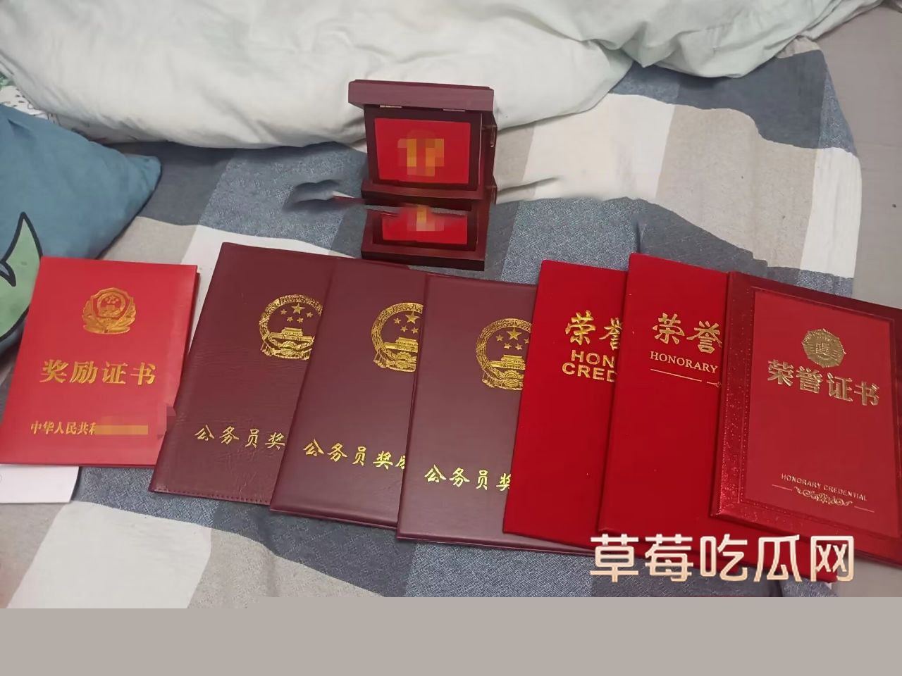 遵义市绿奴公务员8 遵义市绿奴公务员8