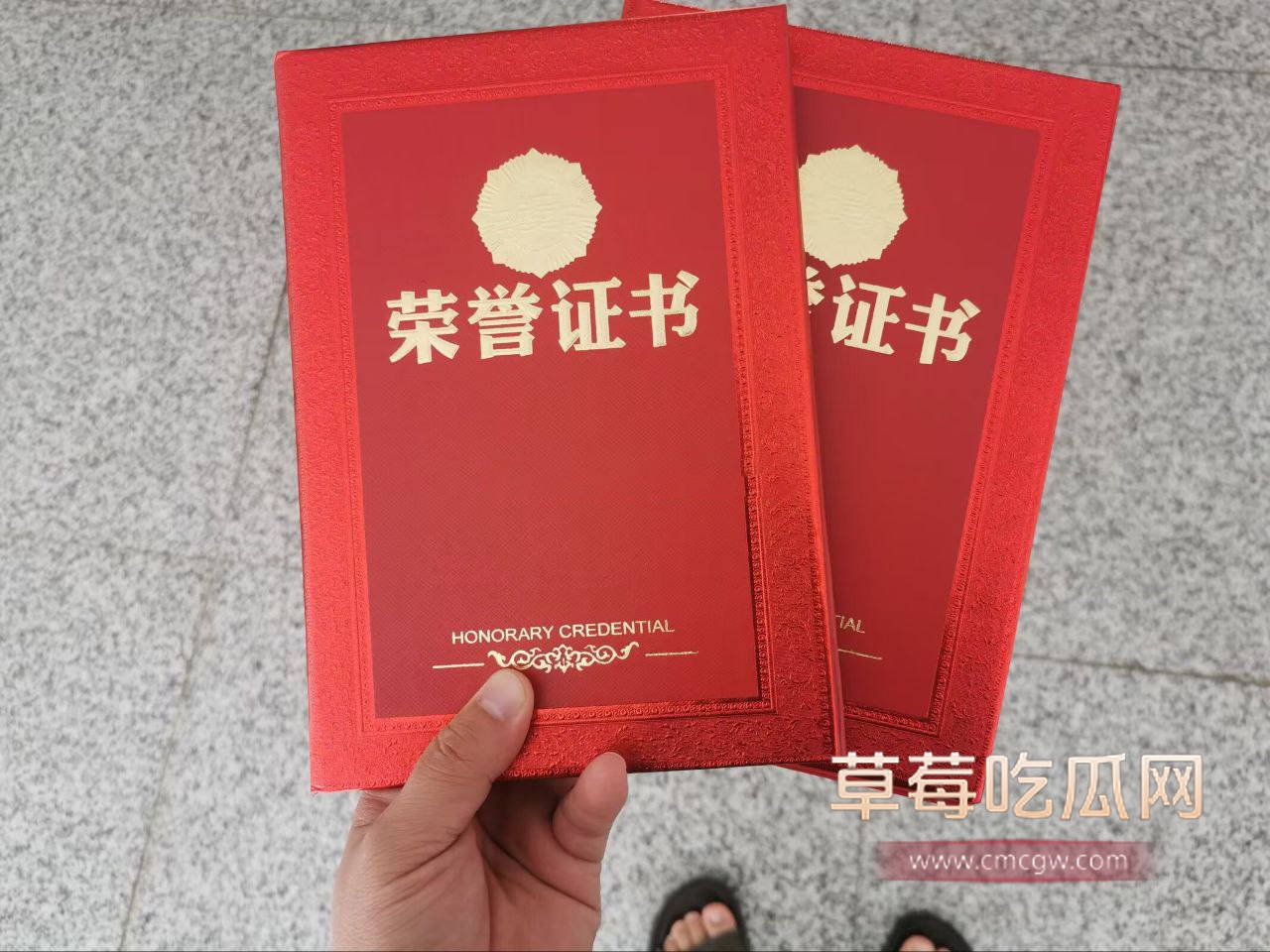 遵义市绿奴公务员9 遵义市绿奴公务员9