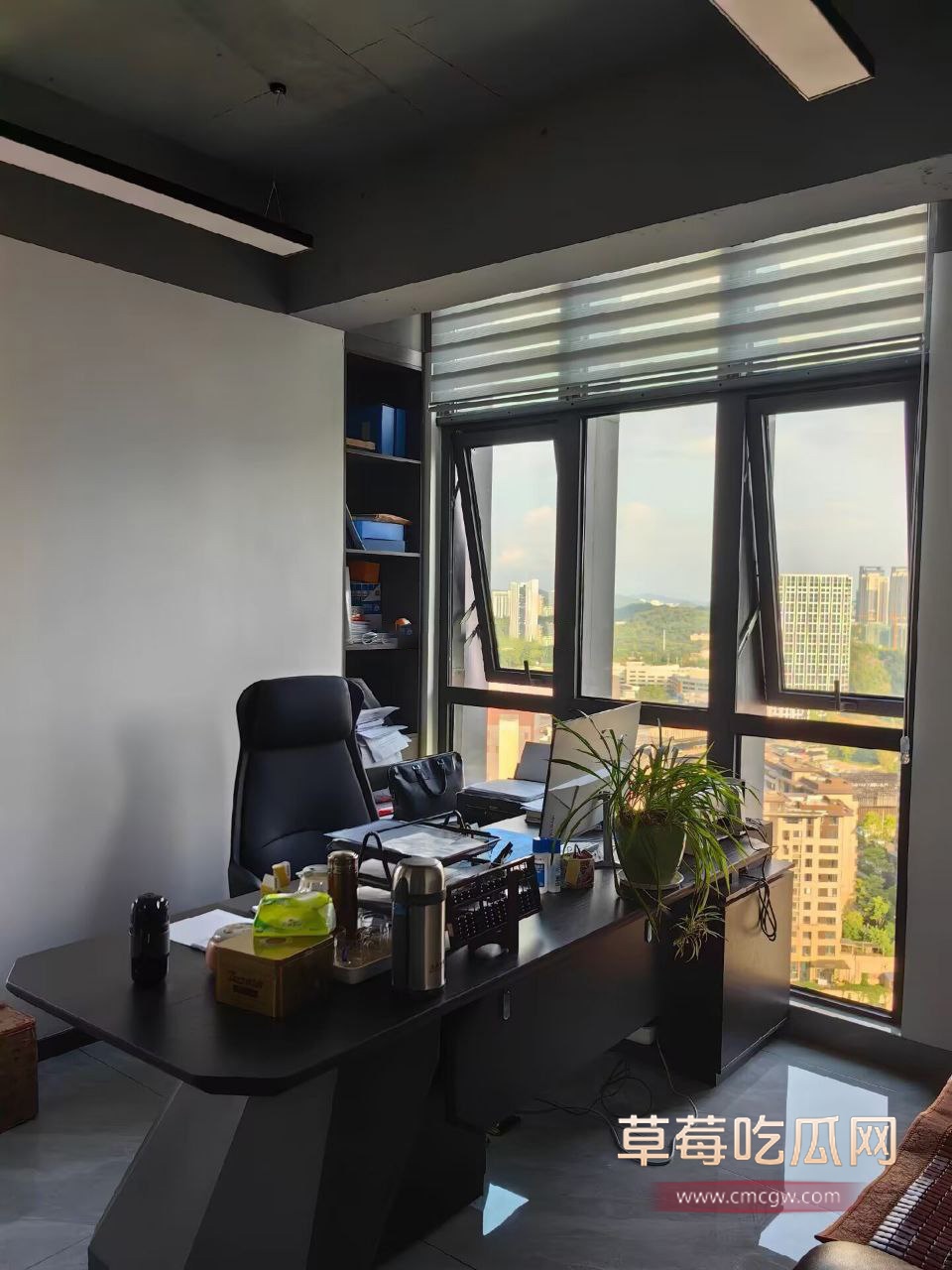 遵义市绿奴公务员22 遵义市绿奴公务员22