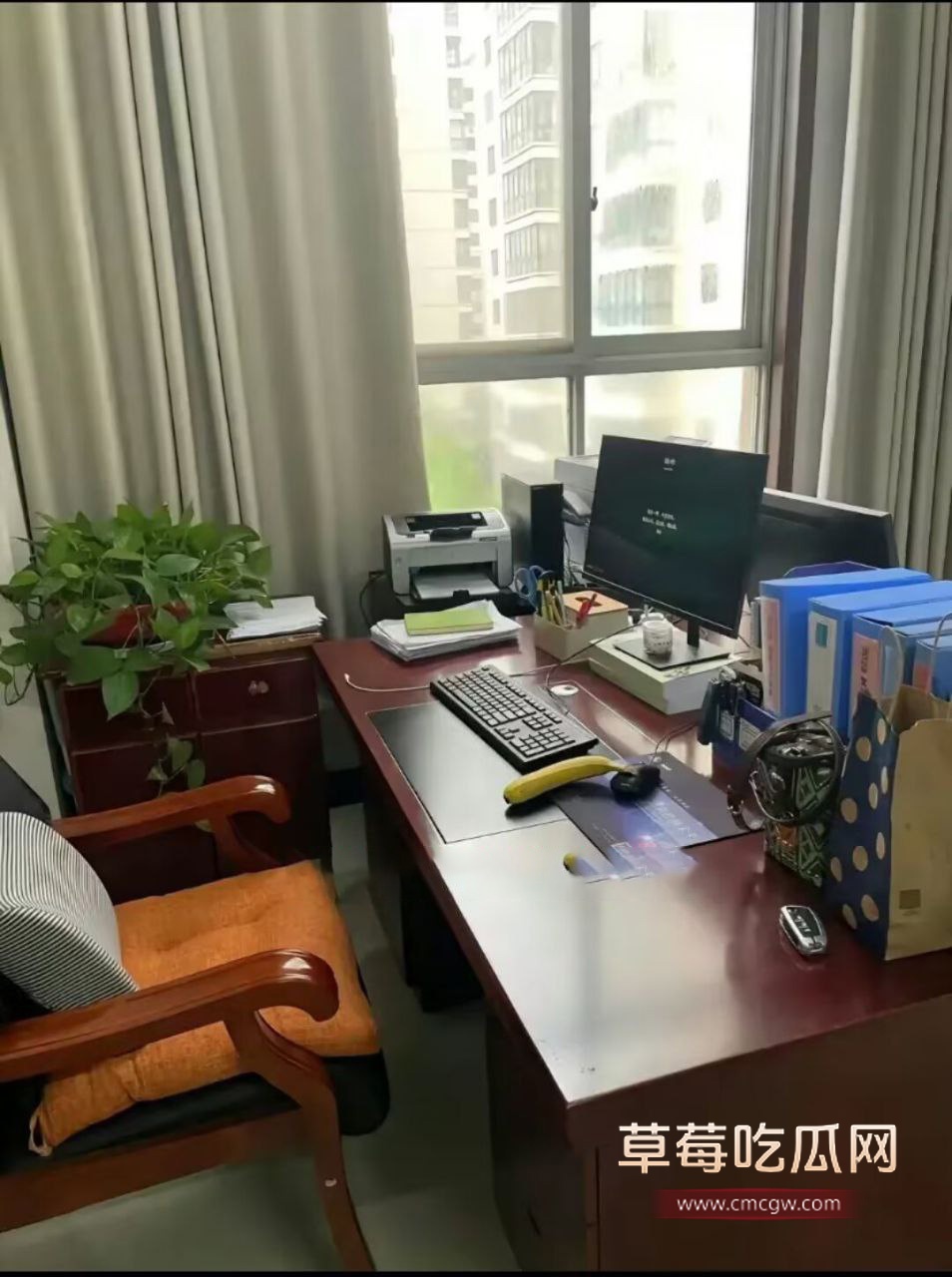 遵义市绿奴公务员23 遵义市绿奴公务员23