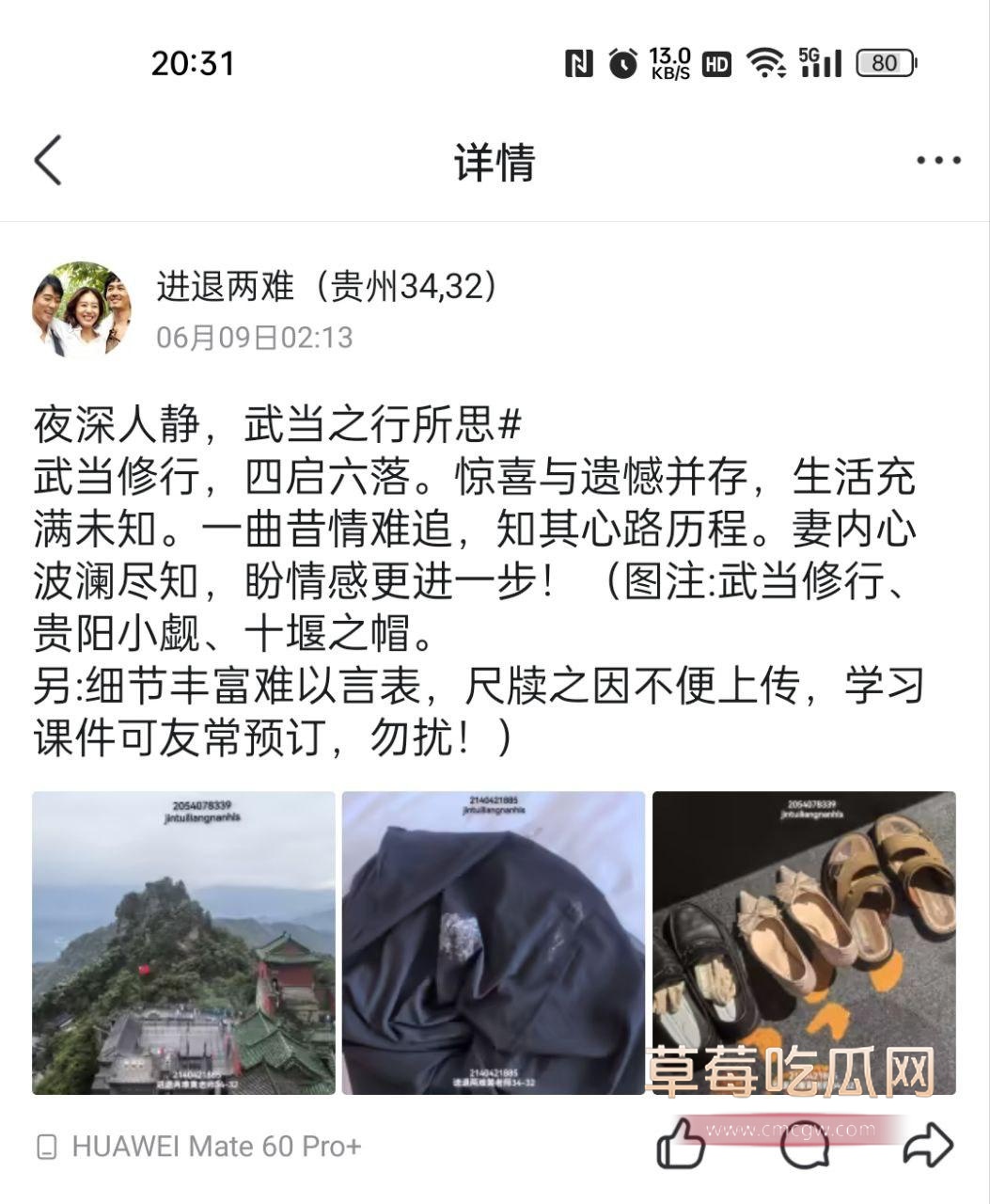 遵义市绿奴公务员41 遵义市绿奴公务员41