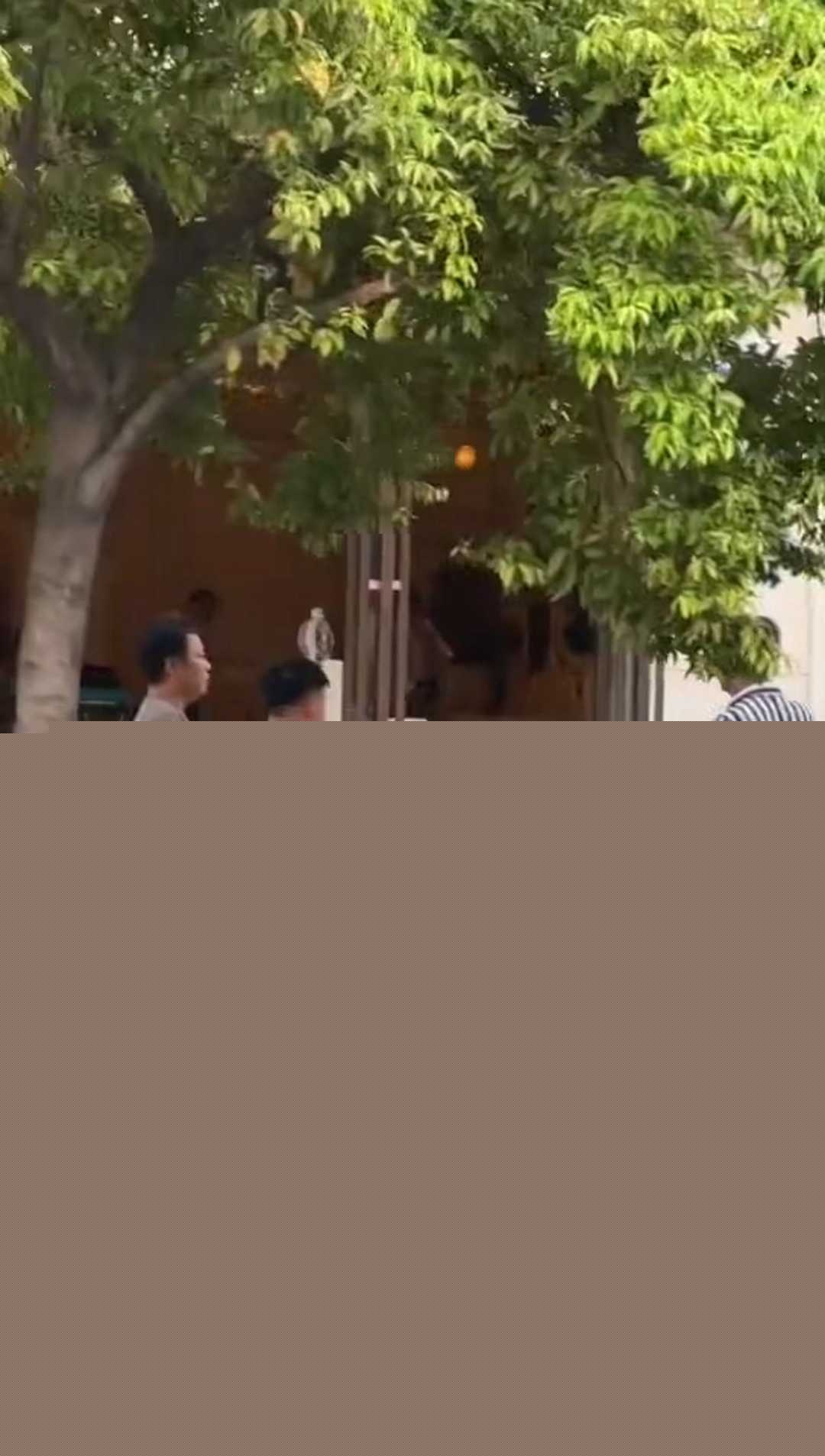 打飞机也能死 2