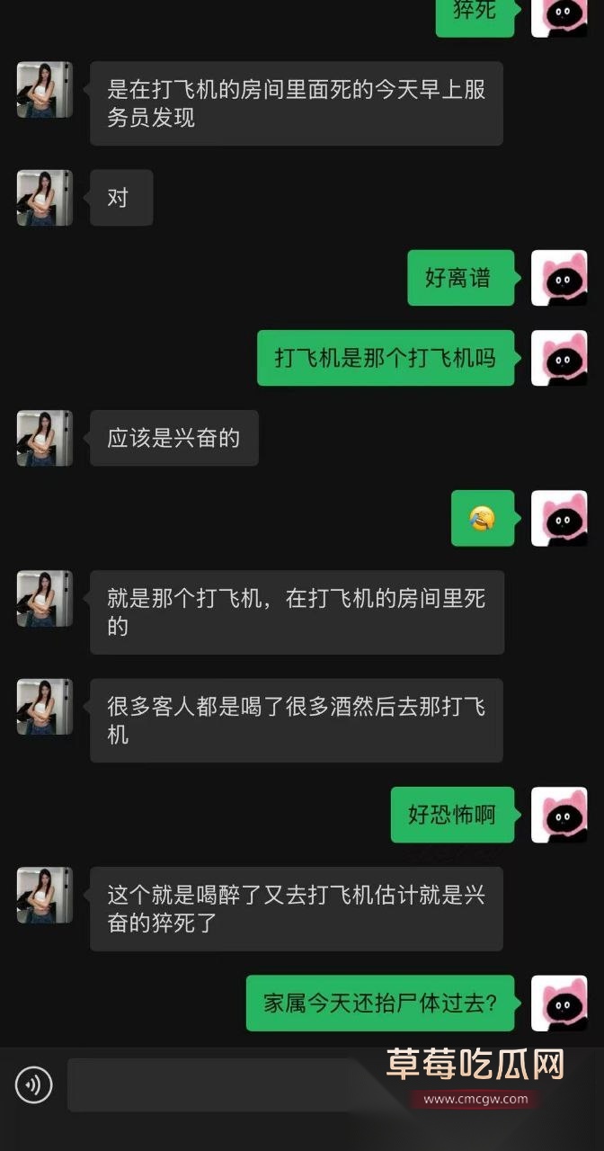 打飞机也能死 7