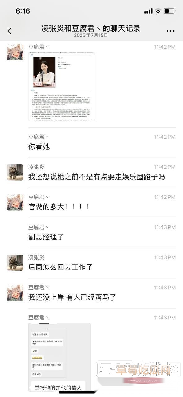 贪污腐败 被情人举报落马4 贪污腐败 被情人举报落马4