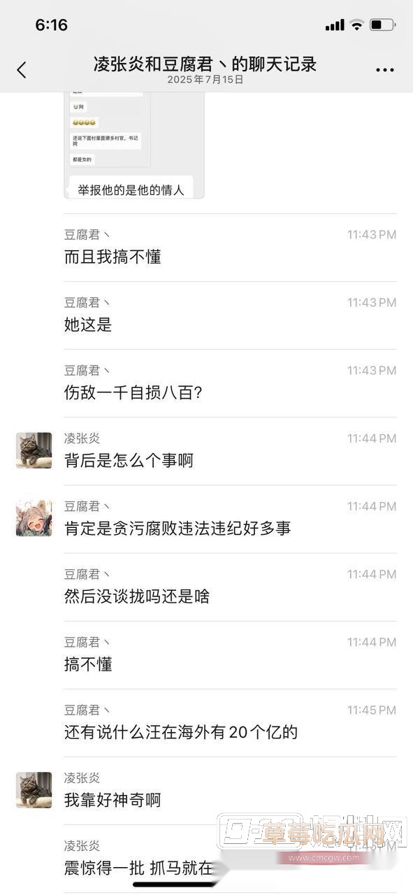 贪污腐败 被情人举报落马6 贪污腐败 被情人举报落马6