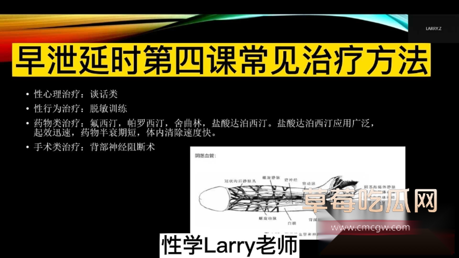 4.常见专业治疗方法 4.常见专业治疗方法