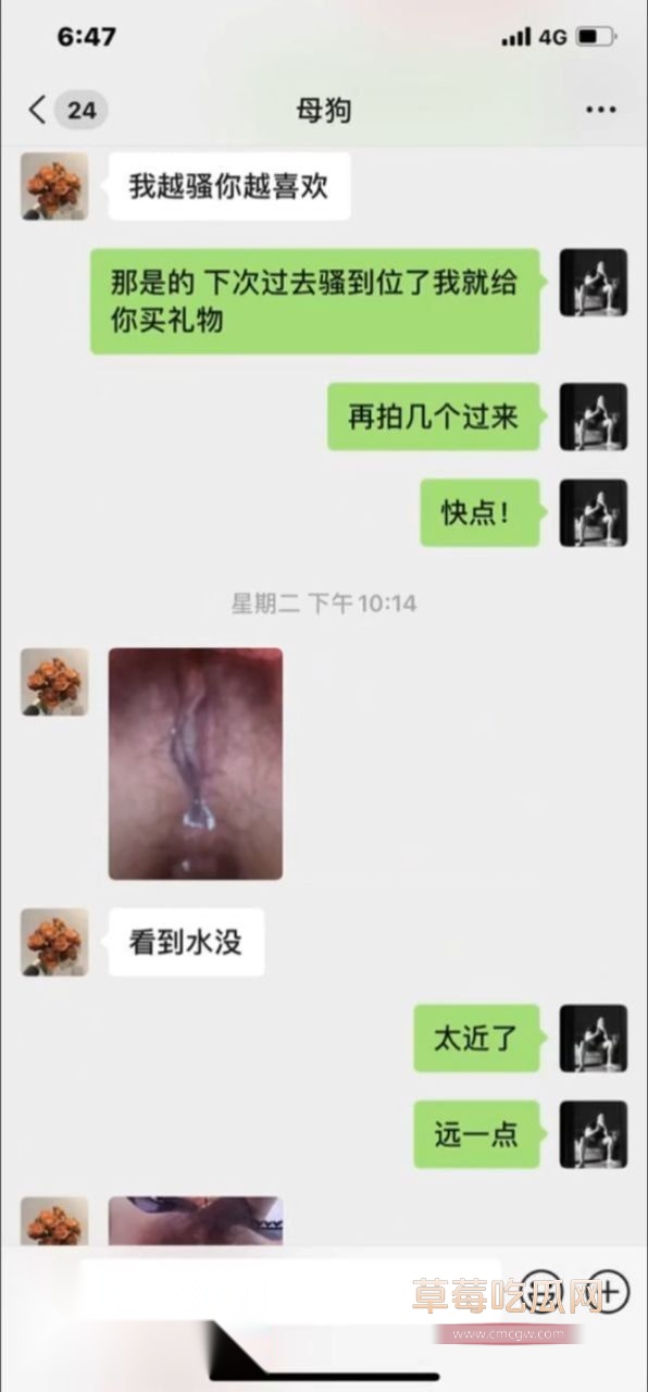 健身猛男调教极品身材骚母狗3
