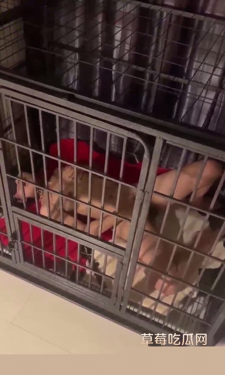 photo20250729110429 photo20250729110429