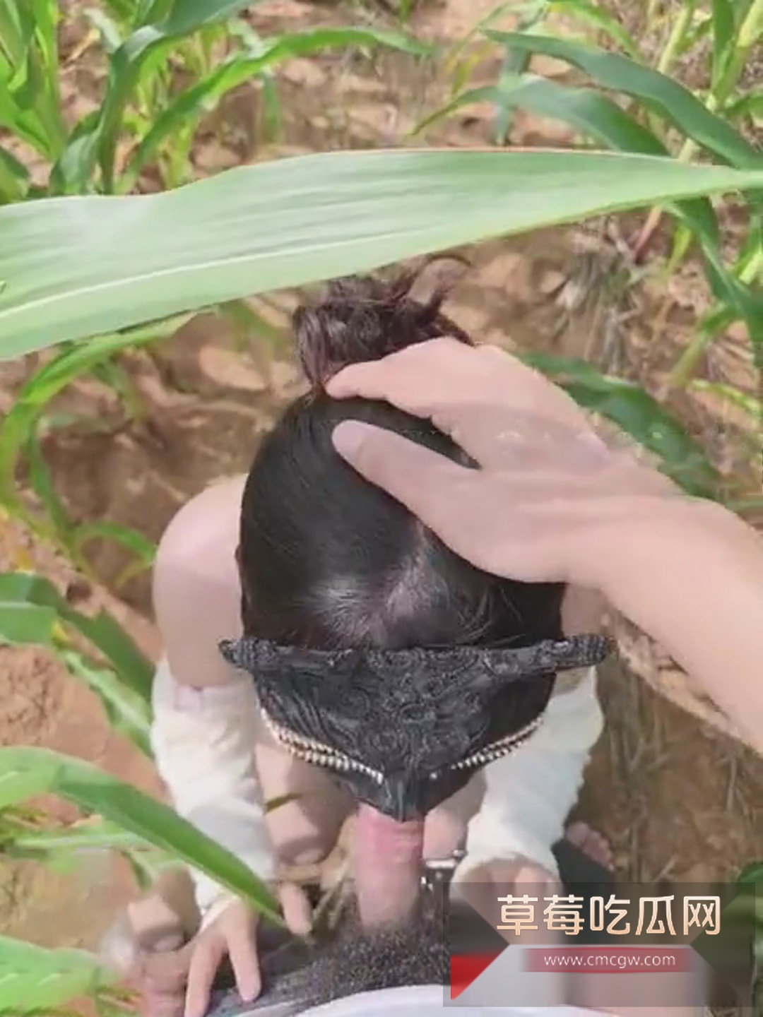 顶着大太阳在玉米地和妹妹老汉推车 3 顶着大太阳在玉米地和妹妹老汉推车 3