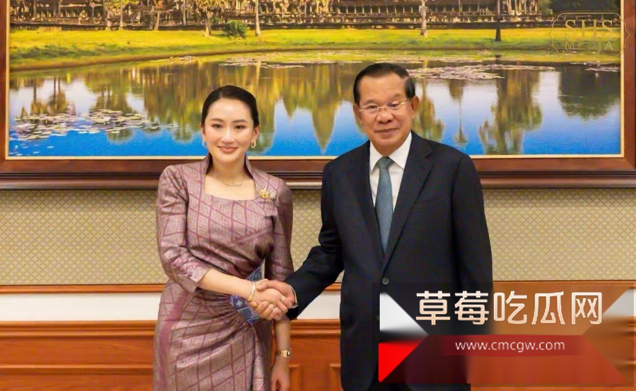 泰国女总理 佩通坦钦那瓦 7