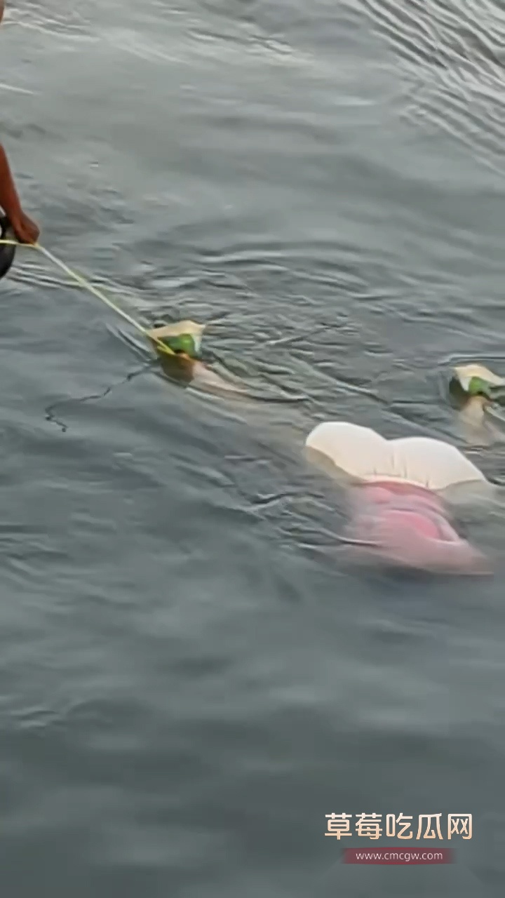 序列 04.00023020.Still003