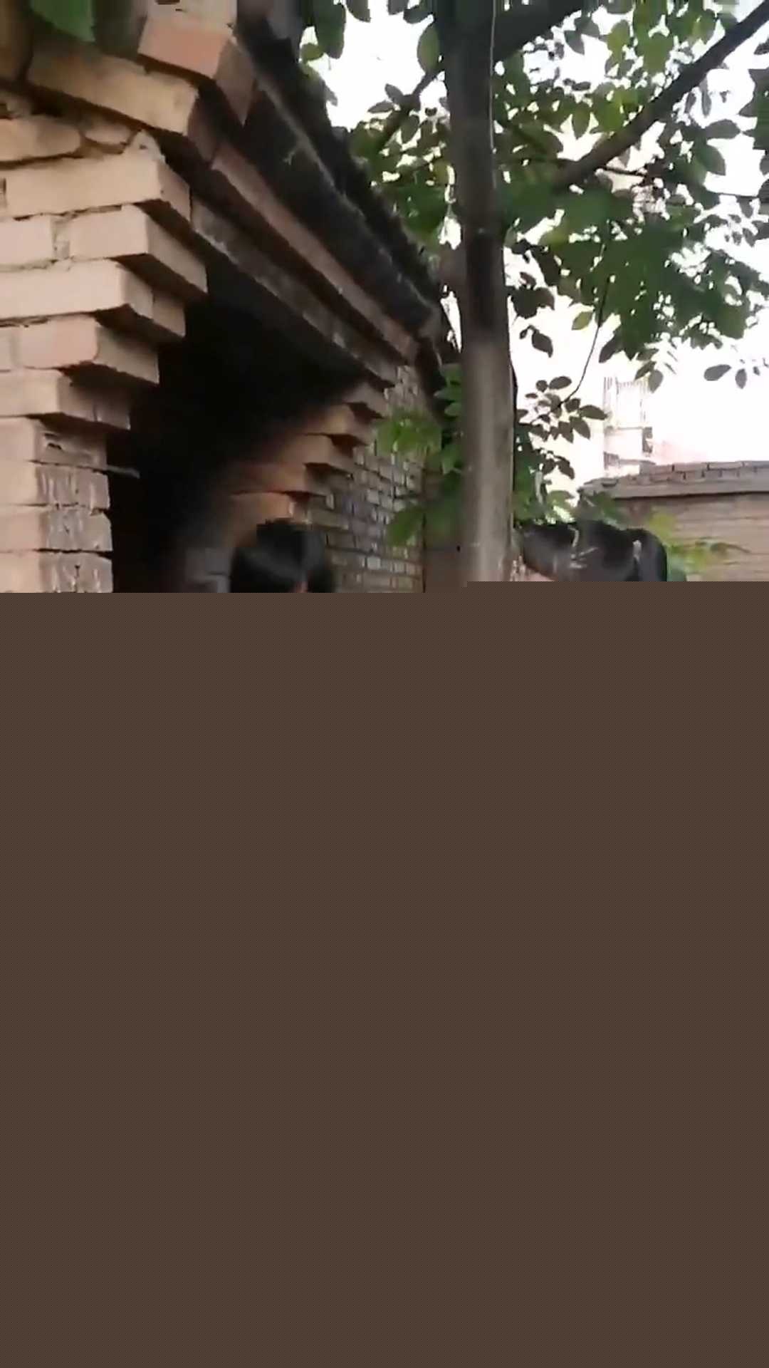 甘肃艺考播音统考第一名霸凌视频 3