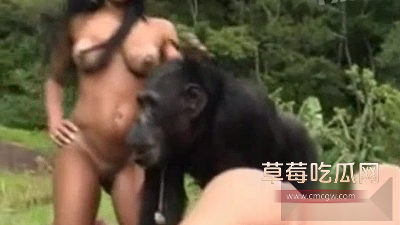 序列 21.00022321.Still003