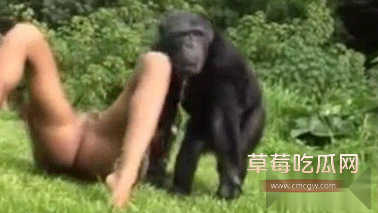 序列 21.00041418.Still006