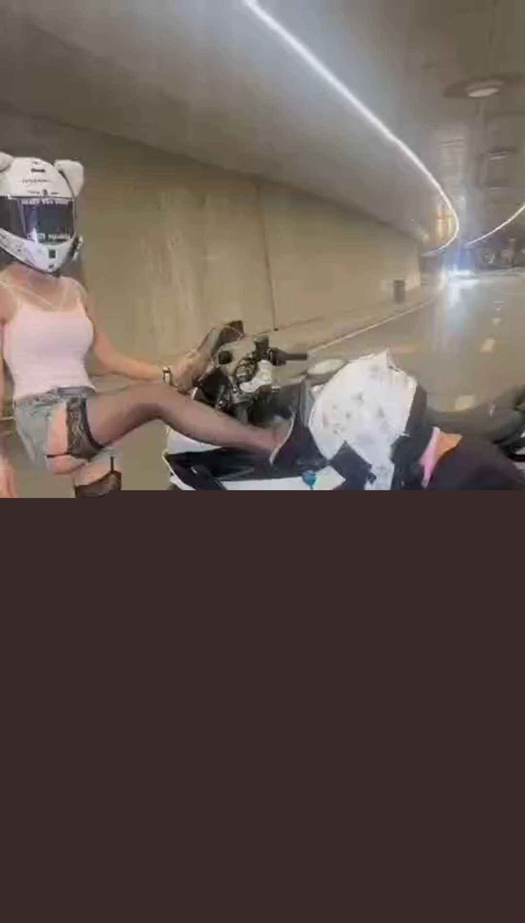 骑春风当狗 1 骑春风当狗 1