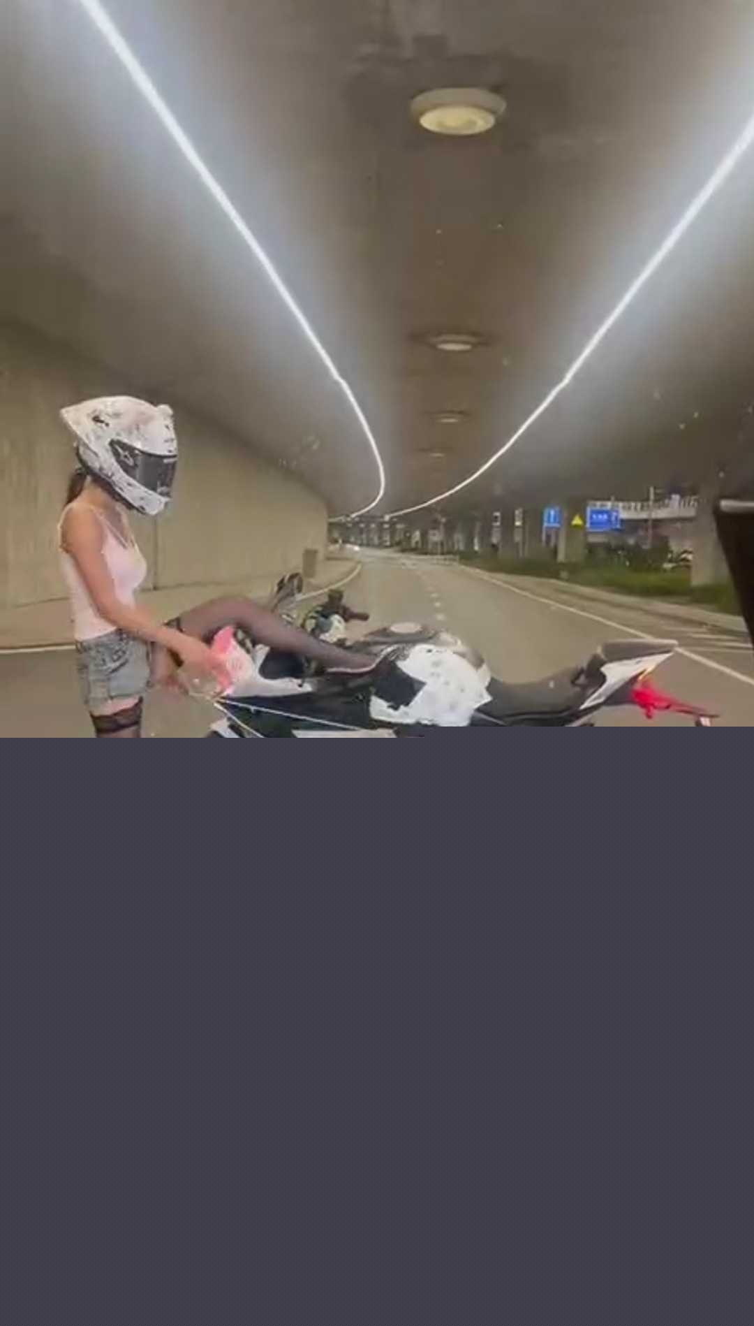 骑春风当狗 2 骑春风当狗 2