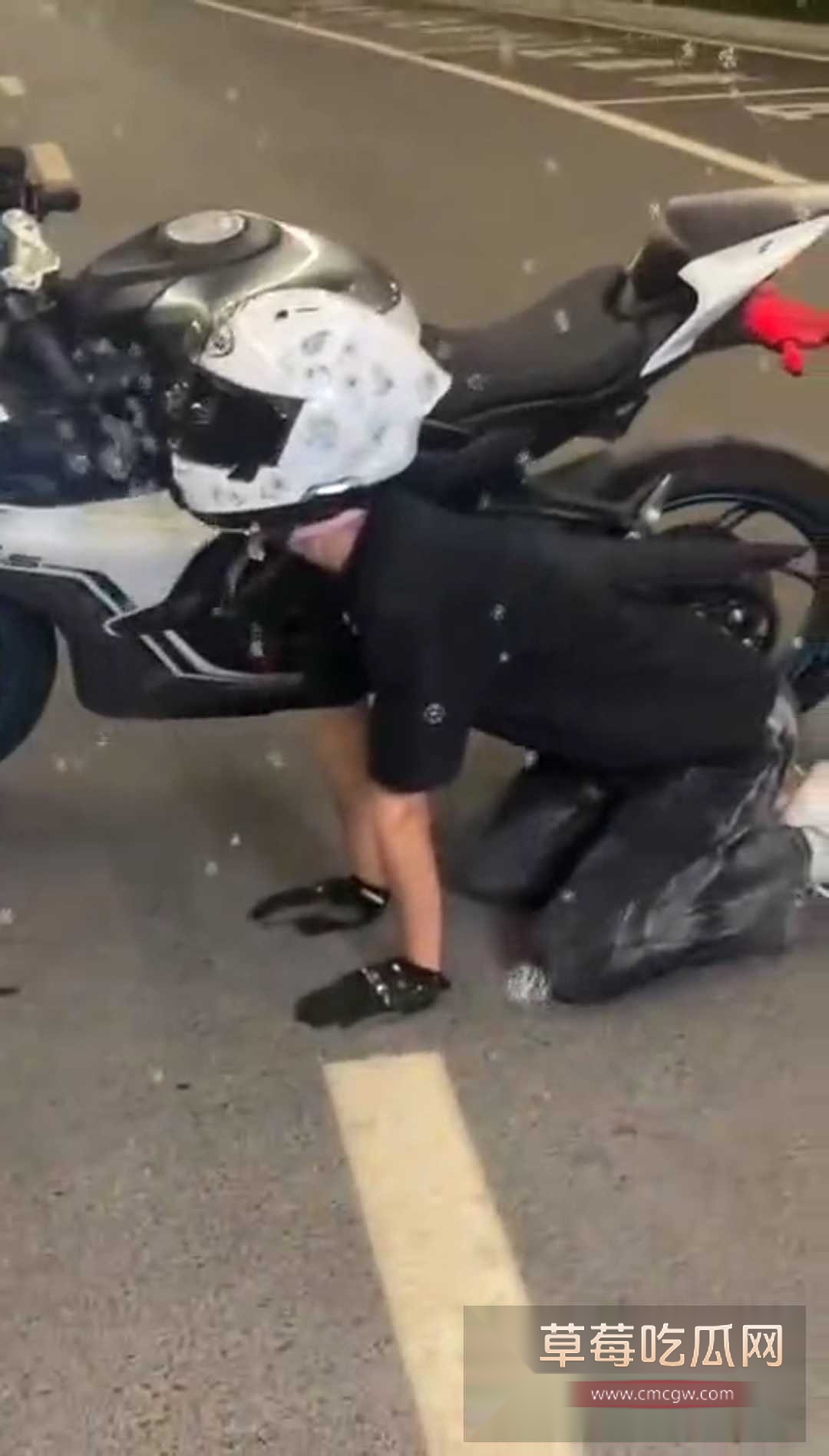 骑春风当狗 3 骑春风当狗 3