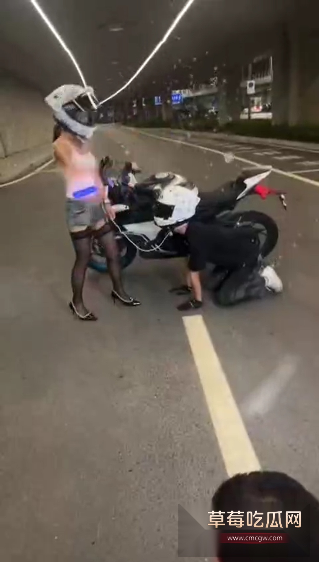 骑春风当狗 5 骑春风当狗 5