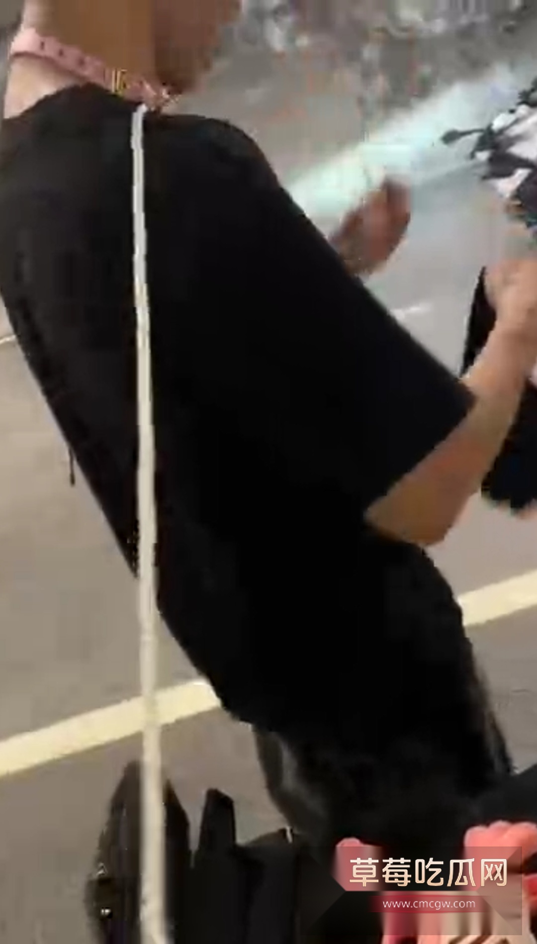 骑春风当狗 骑春风当狗