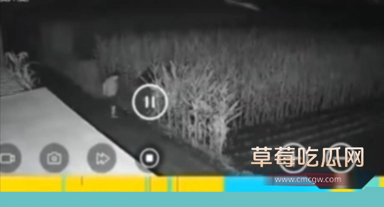 photo20250812222721 photo20250812222721