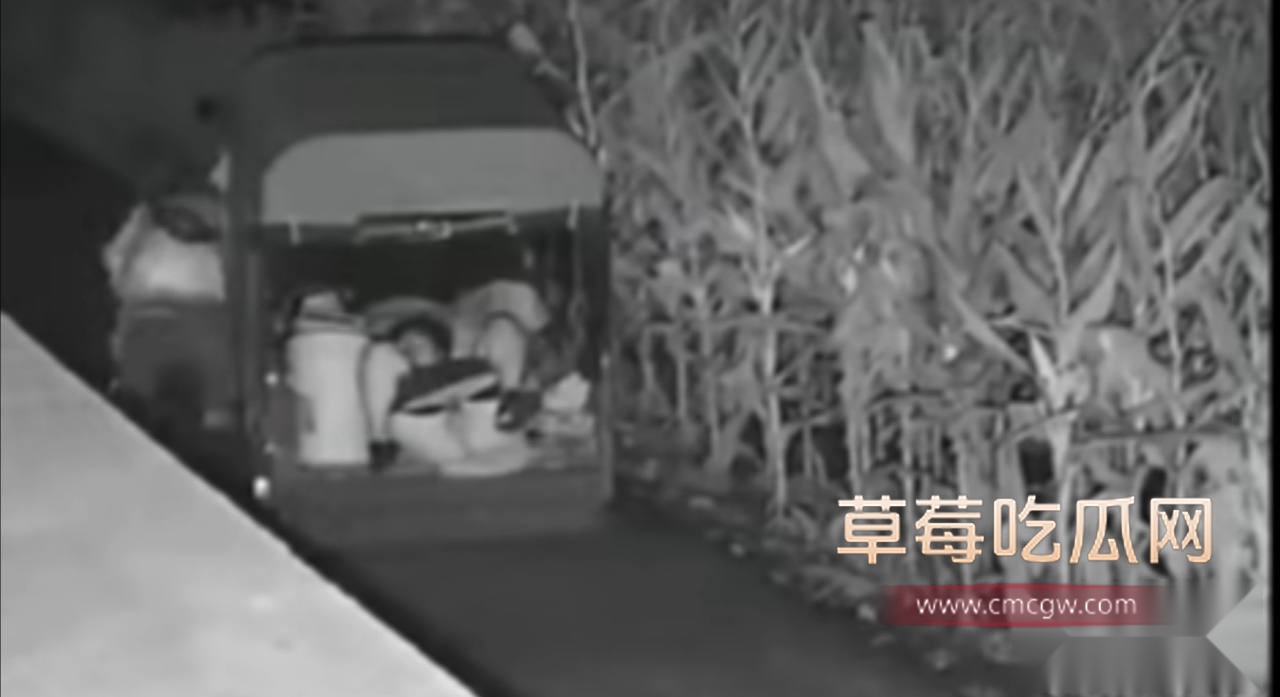 photo20250812222728 photo20250812222728